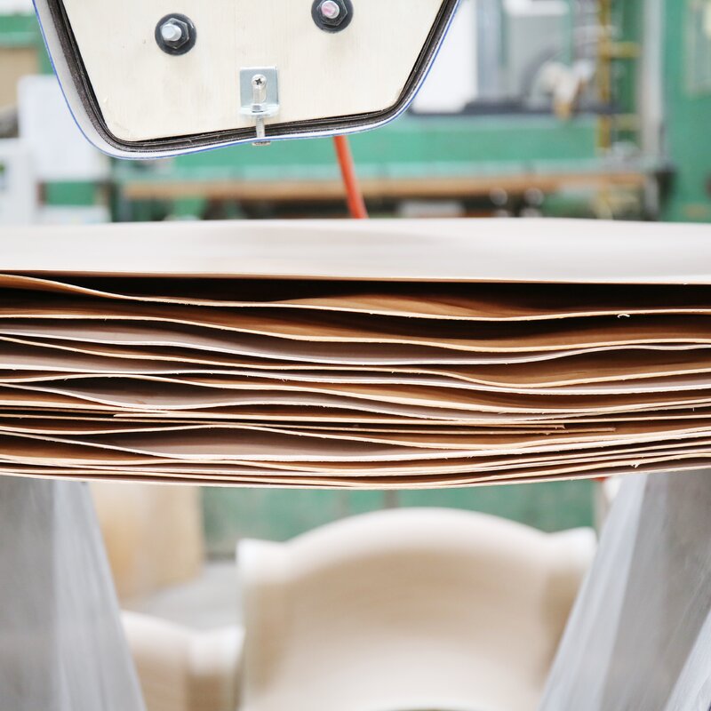 GAP-analyse, engineering en volledig EVD voor één van de grootste OSB fabrieken van Europa