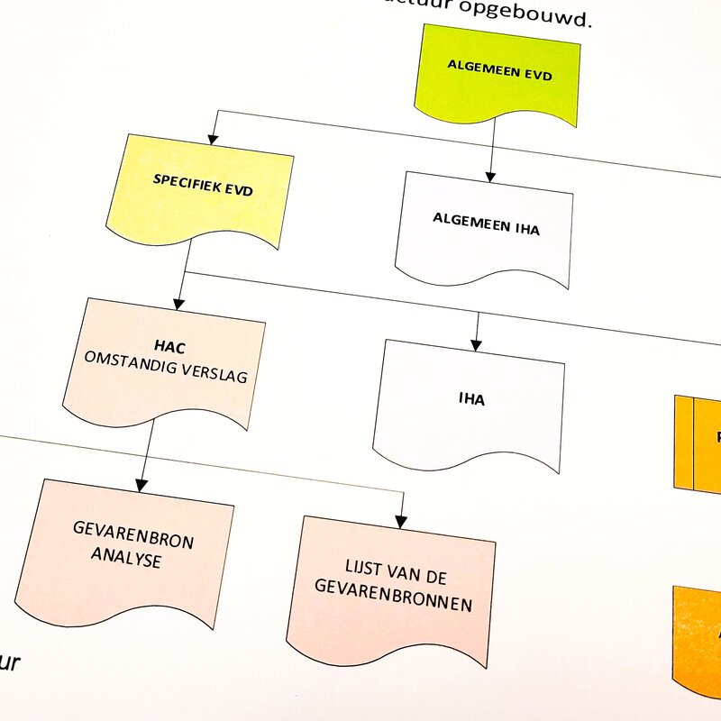 EVDstructuur.jpg